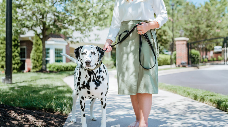 Pet-Friendly Community with Green Space