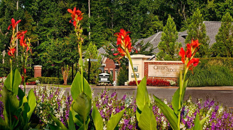 Lush Green Landscaping