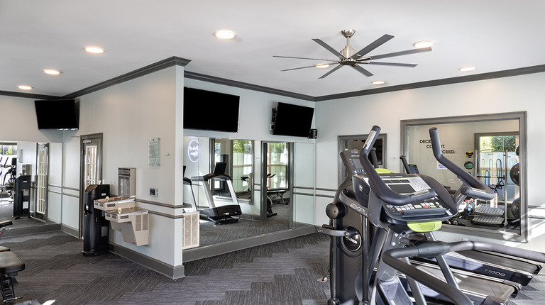 Fitness Center with Weights and Cardio Equipment